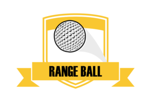 visualizeandrize.org - Range Ball Sponsorship - $750