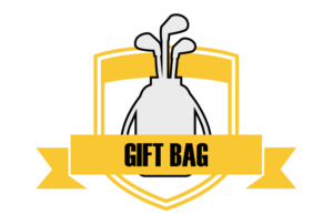 visualizeandrize.org - Gift Bag sponsorship $1500